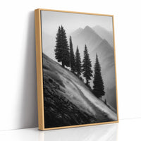Windswept Timberline