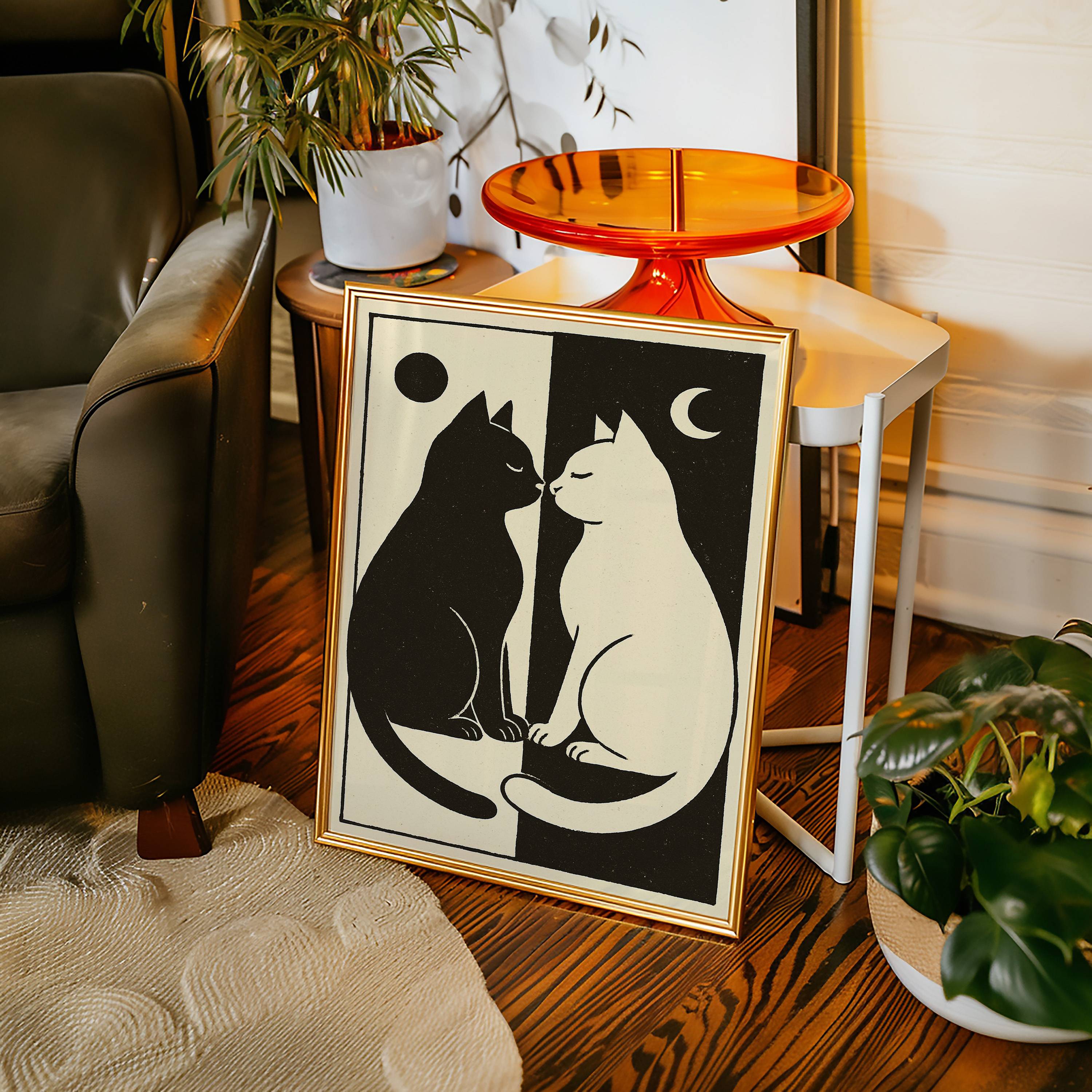 Day Meets Night Through Feline Eyes