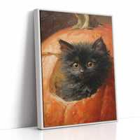 Curious Kitten in Pumpkin