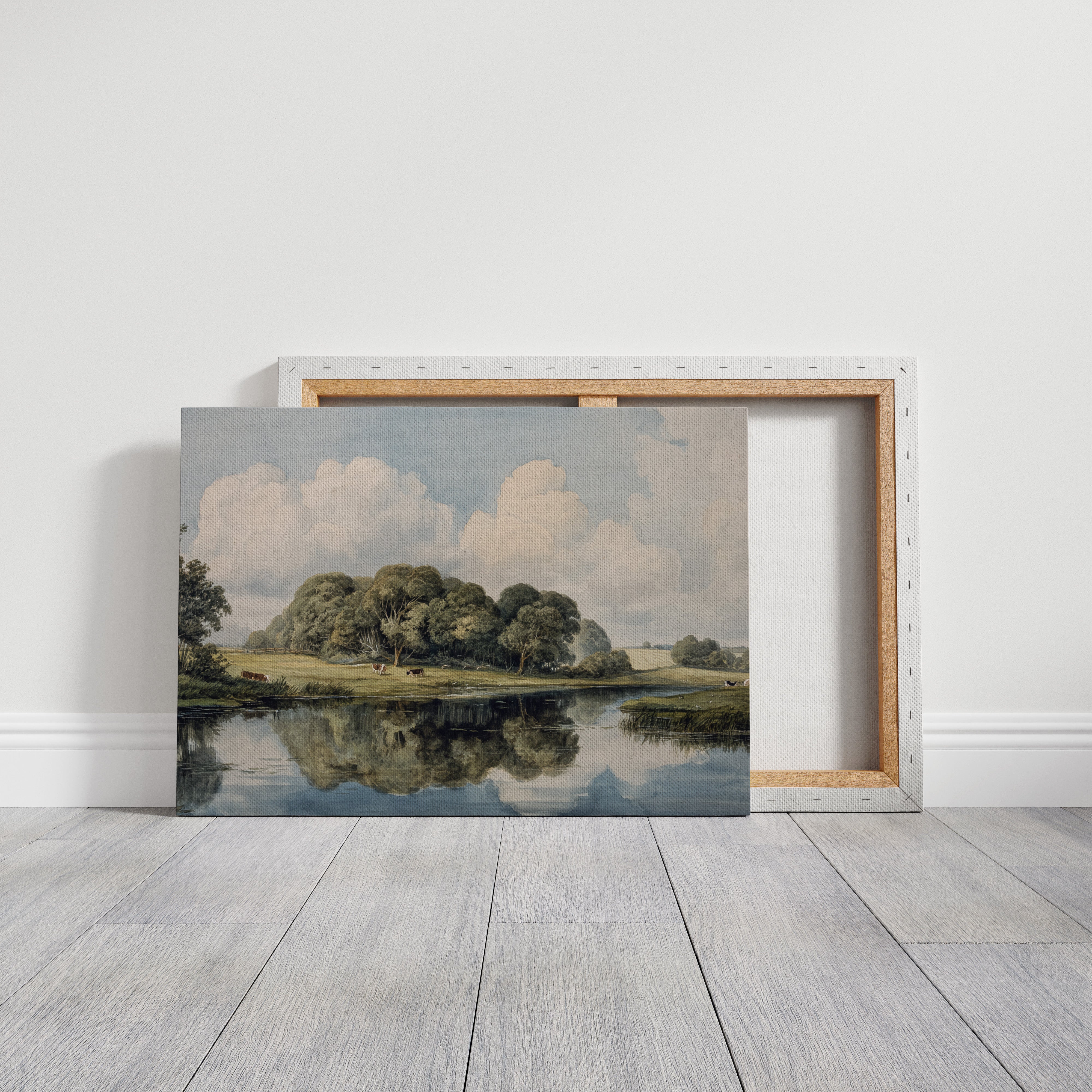 Summer Cattle Rest By Still Waters