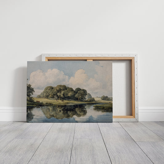 Summer Cattle Rest By Still Waters