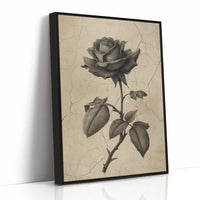 Faded Bloom In Midnight Parlor