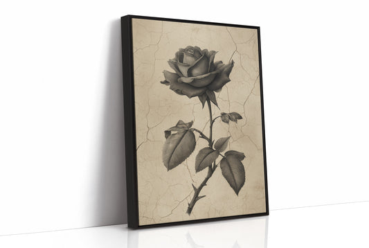 Faded Bloom In Midnight Parlor