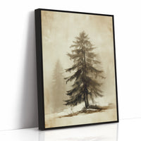 Solitary Pine Holds Winter's Memory