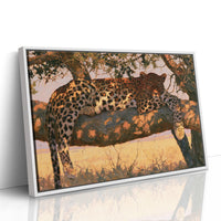 Leopard, Draped in Gold