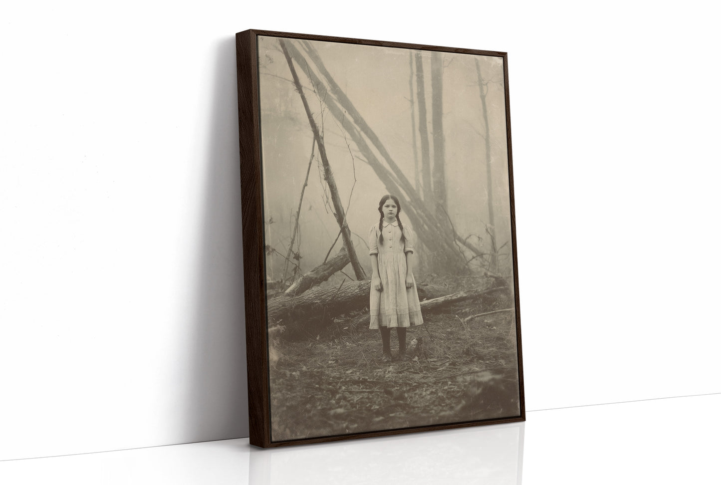 Between Fog And Fallen Trees