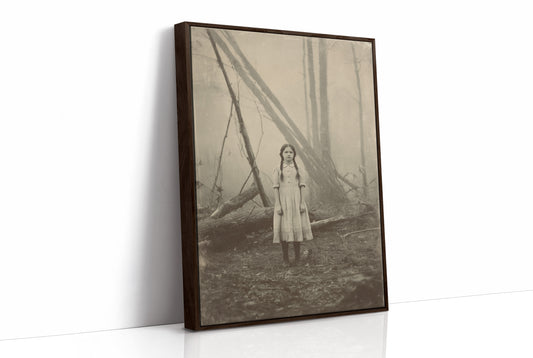 Between Fog And Fallen Trees