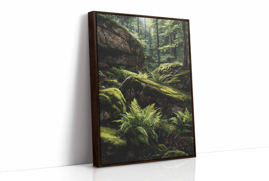 Ancient Ferns Catch Golden Light