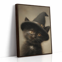 Midnight Familiar Casts Its Spell