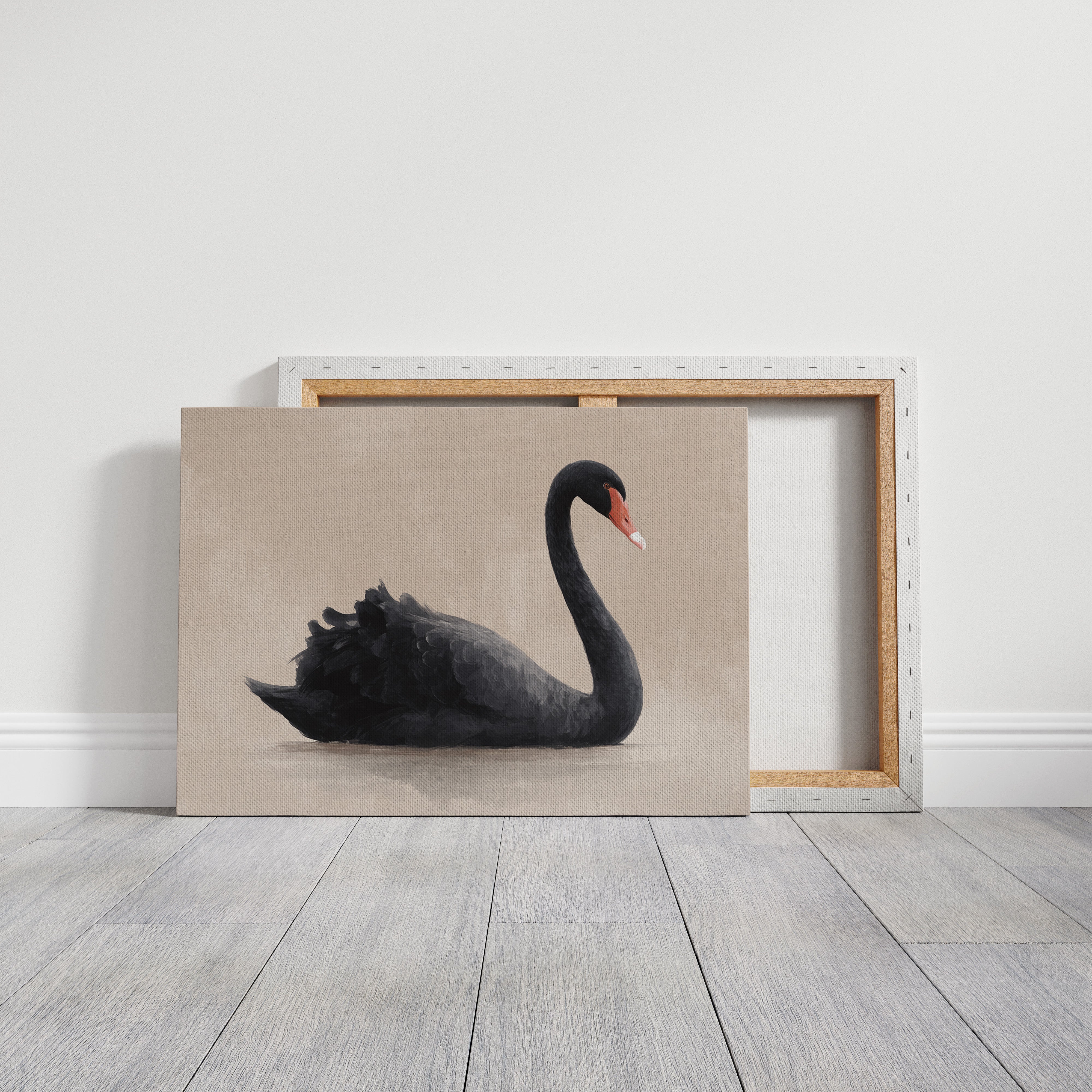 Black Swan Glides Through Blush Dawn