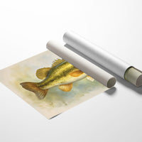 Lake Champion Catches Sunlight