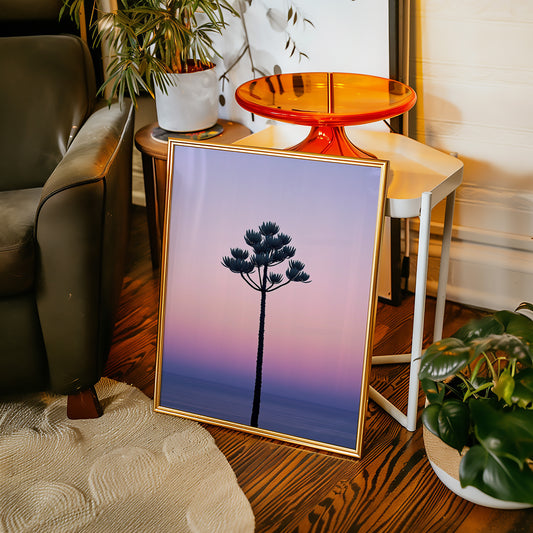Twilight Palm Reaches For Stars