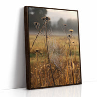 Thistles Catch Dawn's First Light