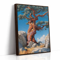Ancient Pine Tells Mountain Stories
