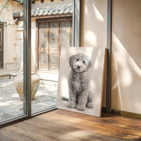 Curly Coat and Kind Eyes