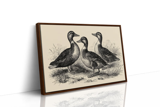 Gathering of Gentle Companions