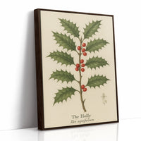 The Holly Botanical Art Print