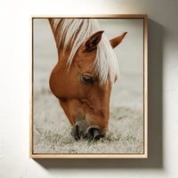 Quiet Morning Graze with Golden Mane