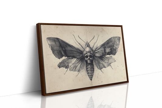 Moth's Lament Over Forgotten Tales