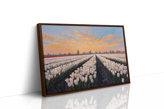 Fields of Light and Bloom