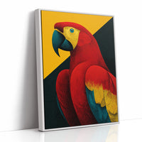 Scarlet Macaw Study