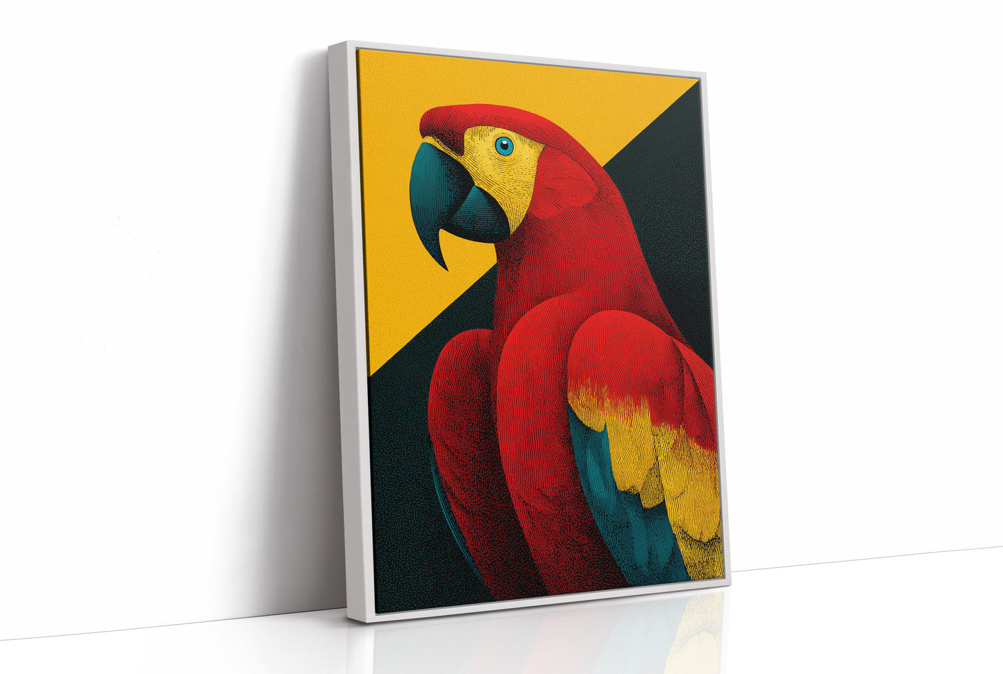 Scarlet Macaw Study
