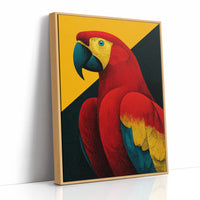 Scarlet Macaw Study