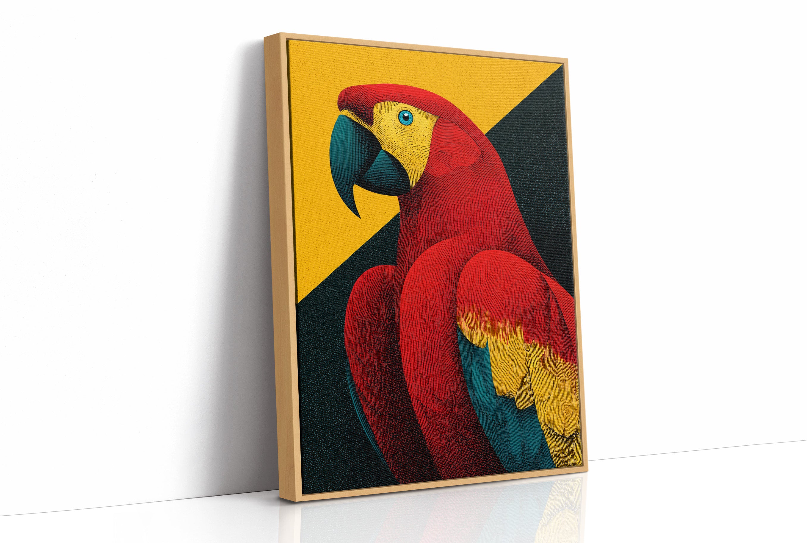 Scarlet Macaw Study