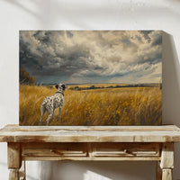 Storm Clouds Call A Dalmatian Home