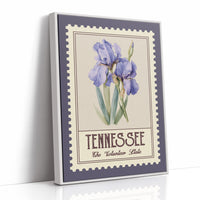 Iris Volunteers for Center Stage