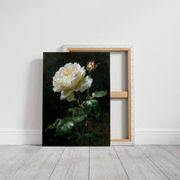 The White Rose Holds Its Light