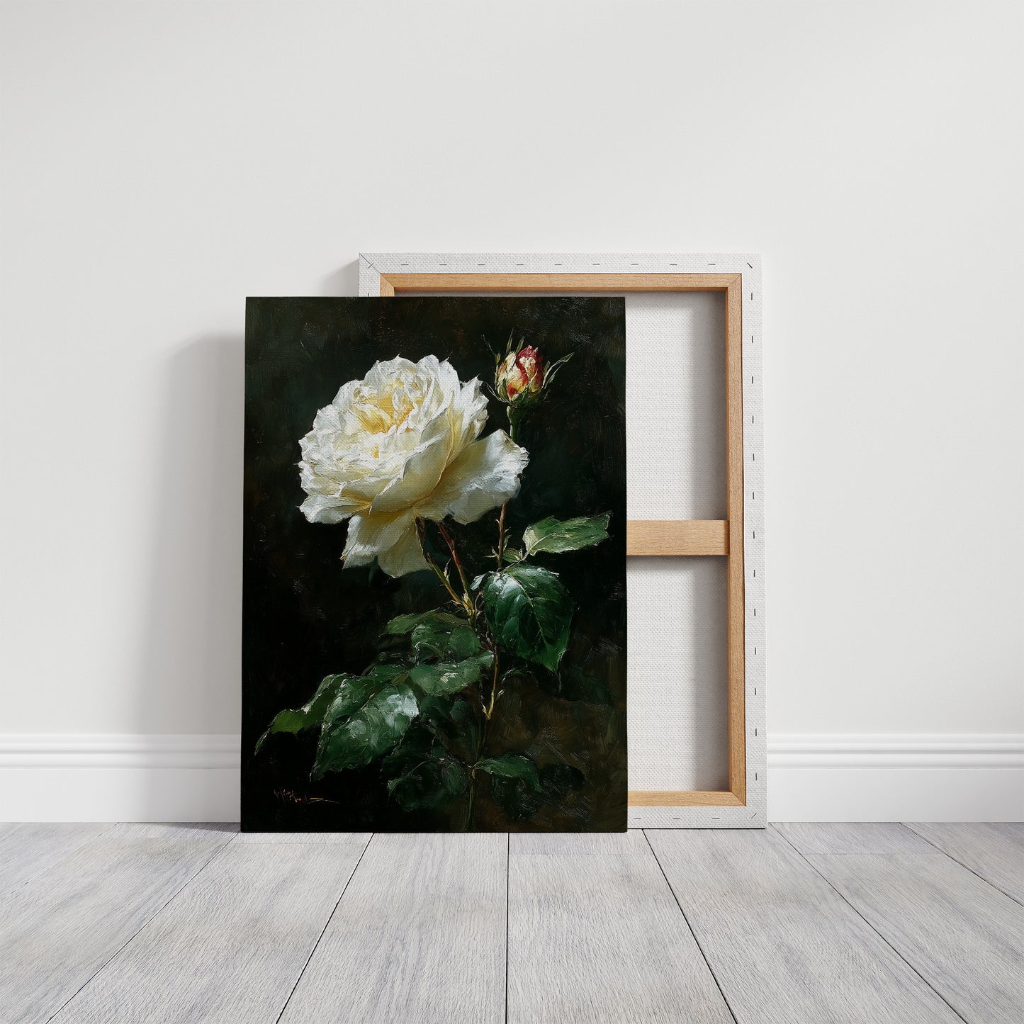 The White Rose Holds Its Light