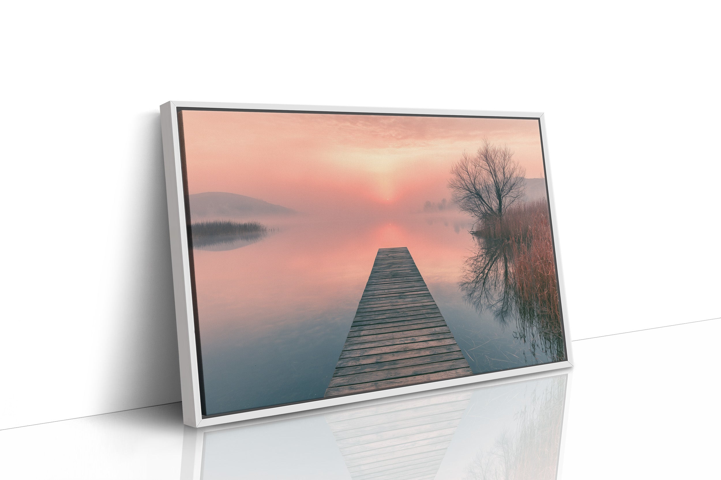 Dock, Blush Horizon