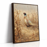 Pheasant Stands Among Golden Stalks