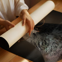 Scholarly Pigeon's Literary Pursuit