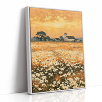Daisy Fields at Golden Hour