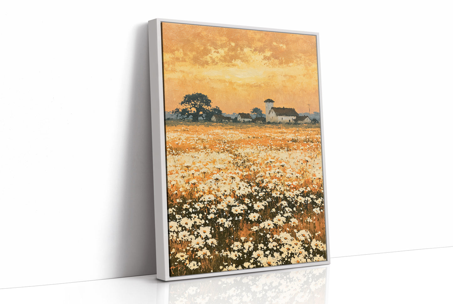 Daisy Fields at Golden Hour