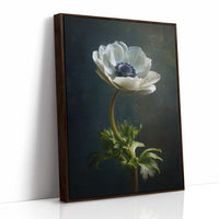 Lone Anemone Against Dark Depths