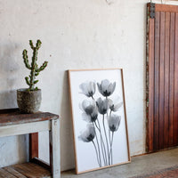 Tulips Dance In Silver Light