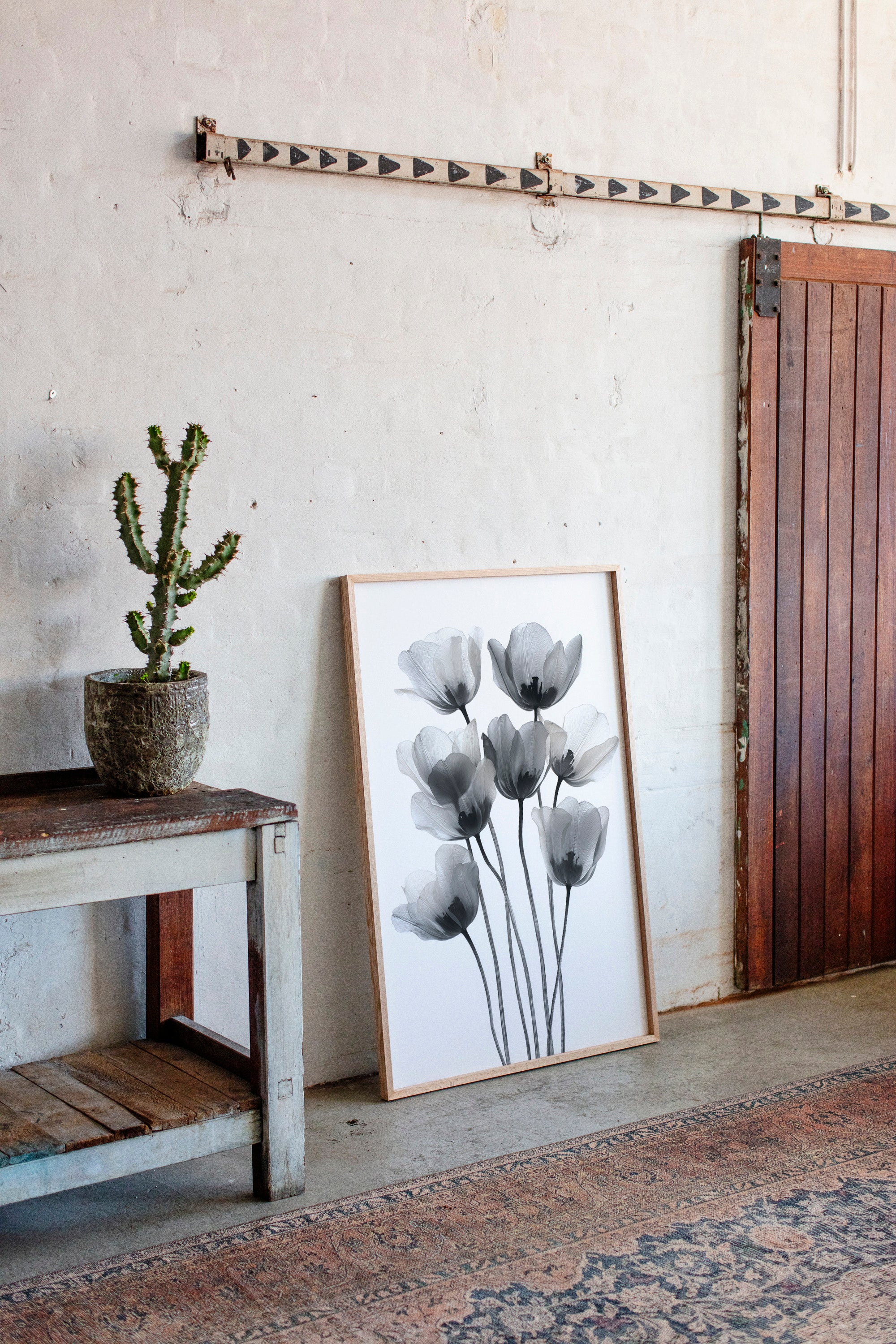 Tulips Dance In Silver Light