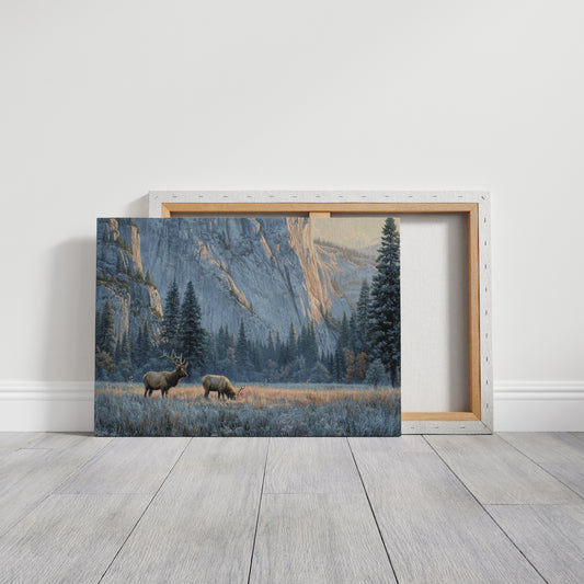 Morning Frost Greets Valley Elk