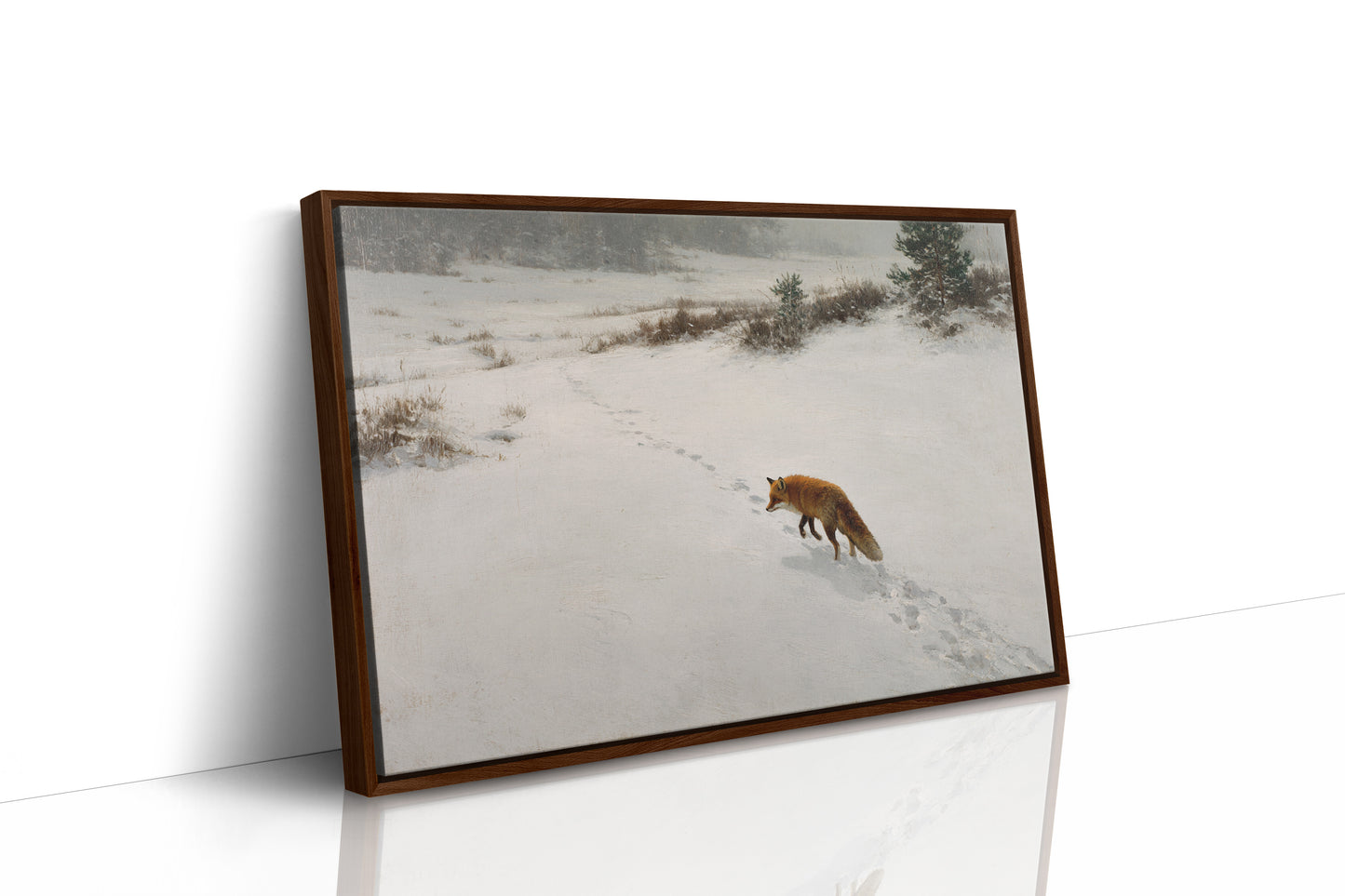 Fox Tracks Through Winter's Canvas