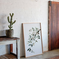 Olive Branches Bend With Grace