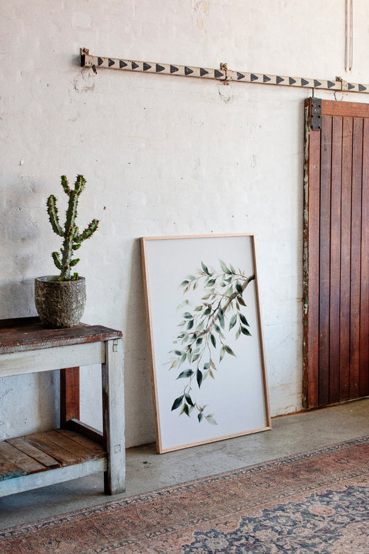 Olive Branches Bend With Grace