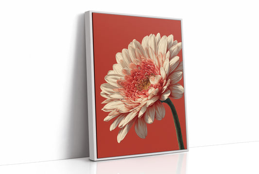 One Bloom, No Apology