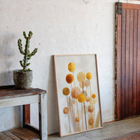 Honey Spheres Dance At Dawn