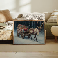 Snow Path Leads To Magic Night