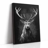 Midnight Tales From Northern Woods