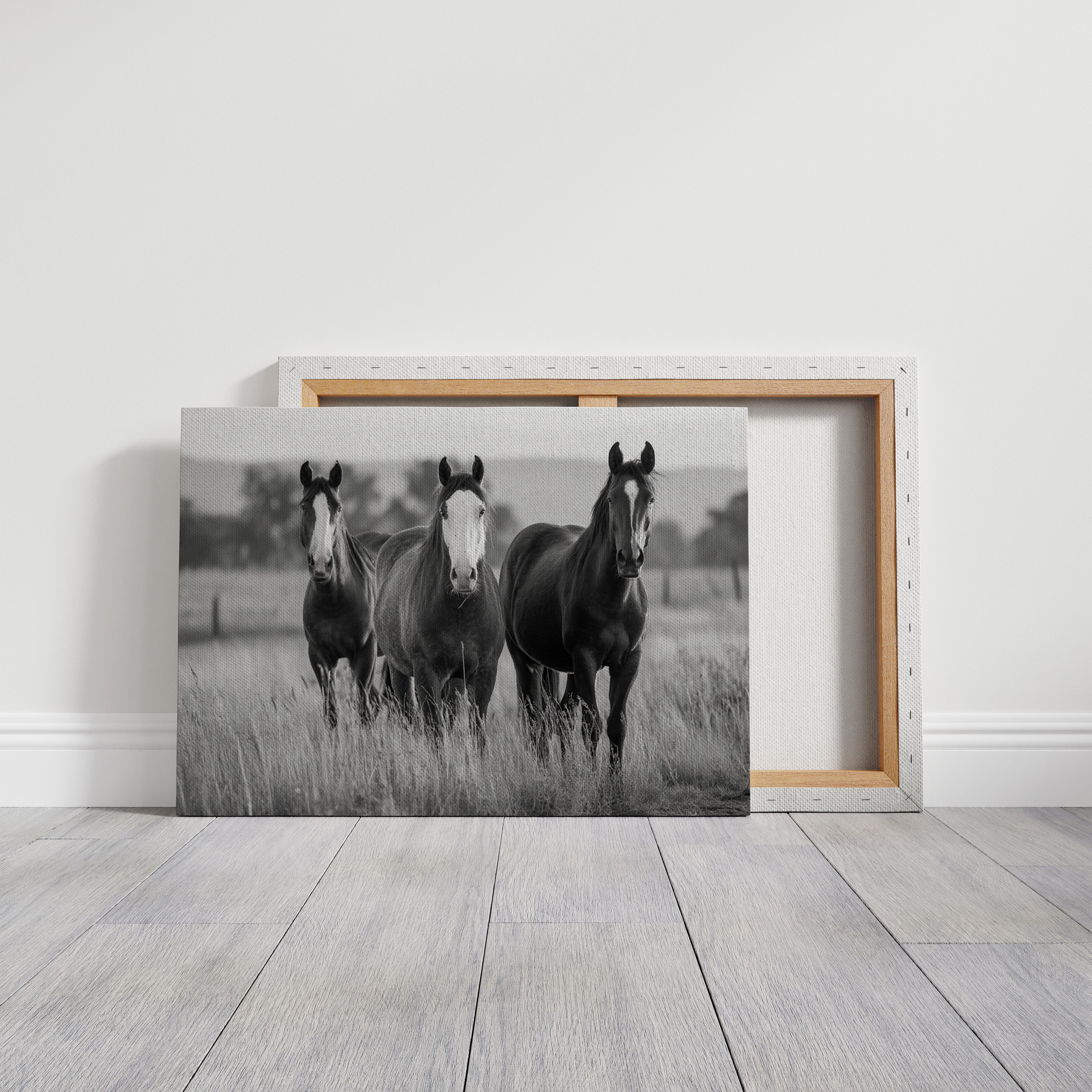 Three Mares Stand Among Prairie Grass