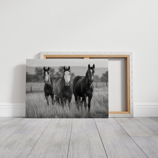 Three Mares Stand Among Prairie Grass